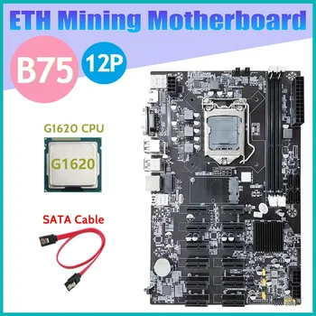 B75 12 PCIE ETH Kaevandamine Emaplaadi+G1620 CPU+SATA Kaabel LGA1155 MSATA USB3.0 SATA3.0 DDR3 B75 BTC Kaevandaja Emaplaadi